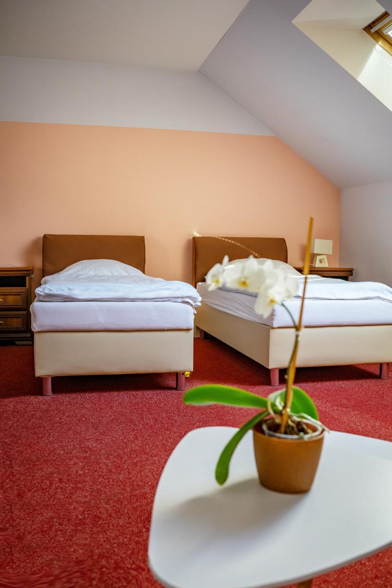 הרניצה Hotel Ruzek מראה חיצוני תמונה